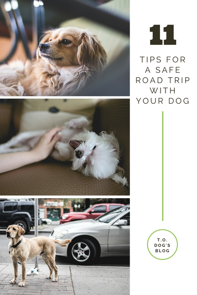 11 TIPS FOR A SAFE ROAD TRIP WITH YOUR DOG
