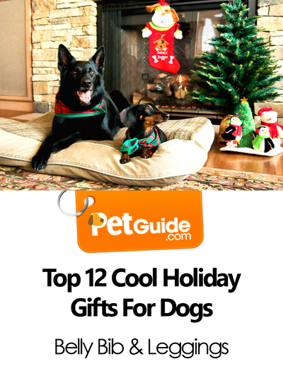 As Seen On PetGuide.com's "Top 12 Cool Holiday Gifts For Dogs"