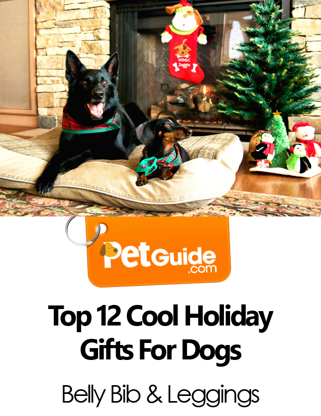 Pet Christmas gift guide: The best festive presents, outfits and