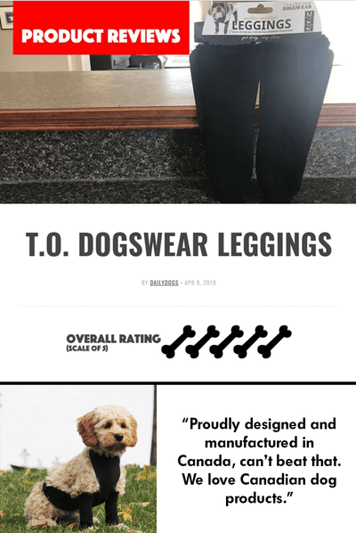 Daily Dogs Reviews the Knit Leggings! 5 Bones!