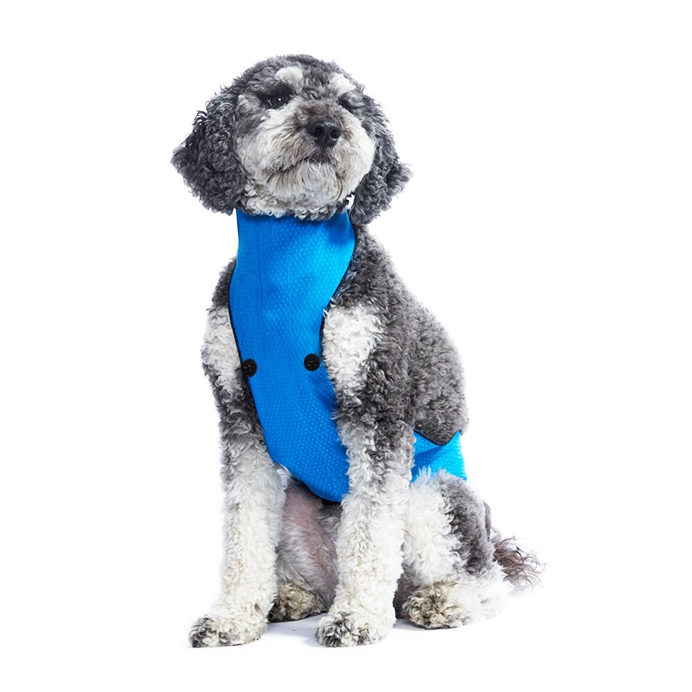 BELLY BIB Underbelly Dog Coat Blue