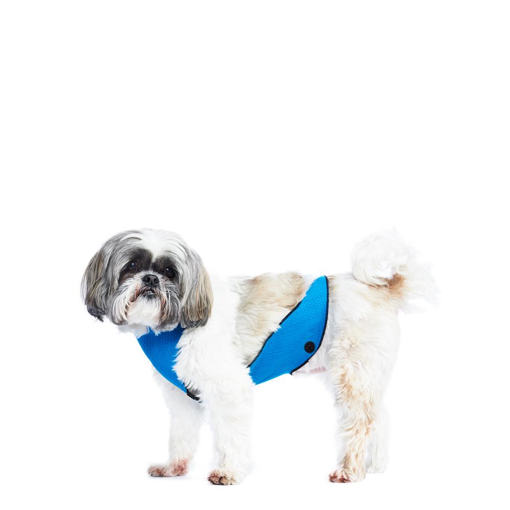 BELLY BIB Underbelly Dog Coat Blue