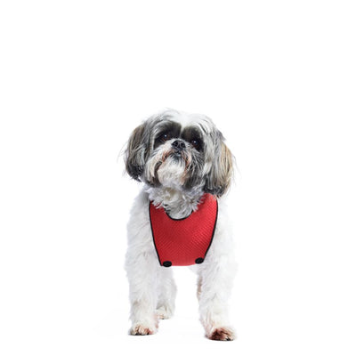 Calgary Flames Dog Clothes & Accessories– Togpetwear