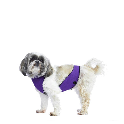 ECO BELLY BIB | lillian purple - T.O. Dogswear