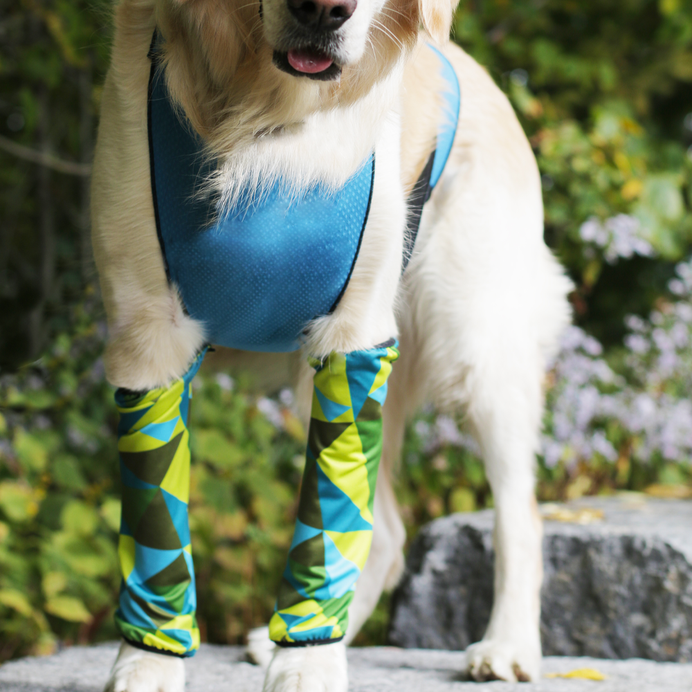 ECO LEGGINGS  blue + green geo – T.O. Dogswear